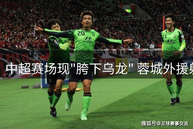 中超赛场现"胯下乌龙" 蓉城外援射门穿透门将"小门