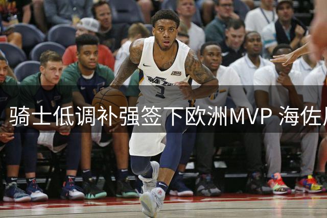 骑士低调补强签下欧洲MVP 海佐尼亚将填补锋线短板